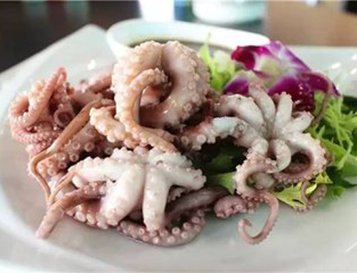 Octopus